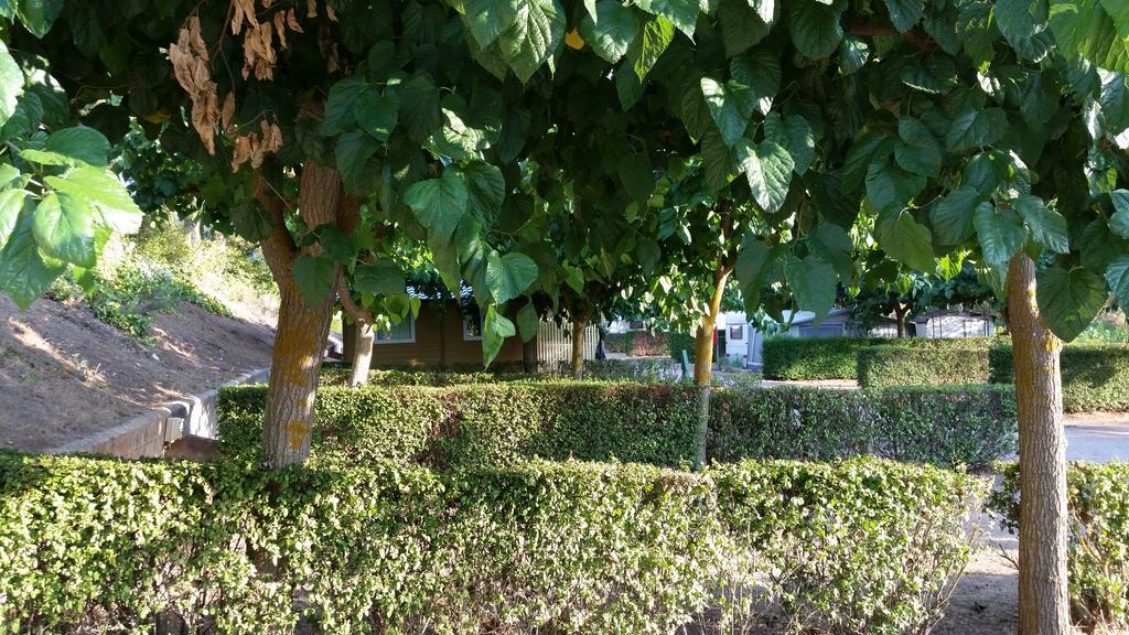 Montsant Park Camping & Bungalow Ulldemolins Exterior foto